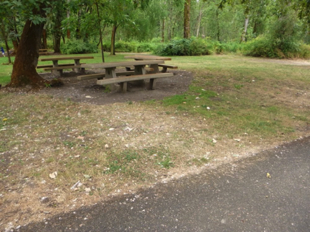 Picnic tables on hard surface - hard surface trail transitions to soft surface